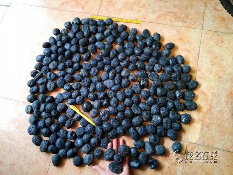 长期高价收购天星屎雷公墨玻璃陨石不论大小大的一千到几千一个收购