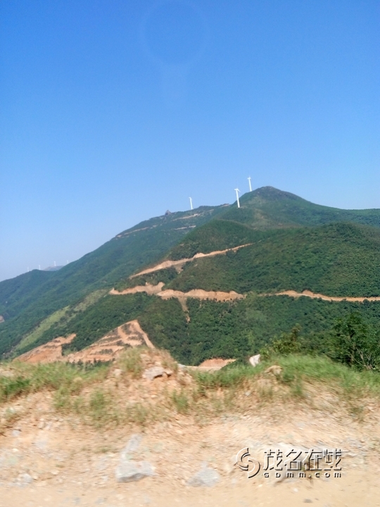 P51017-111426.jpg