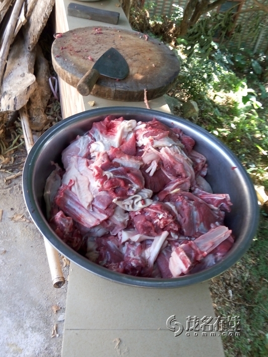 P51017-152030.jpg