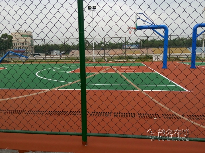 P51026-081849.jpg