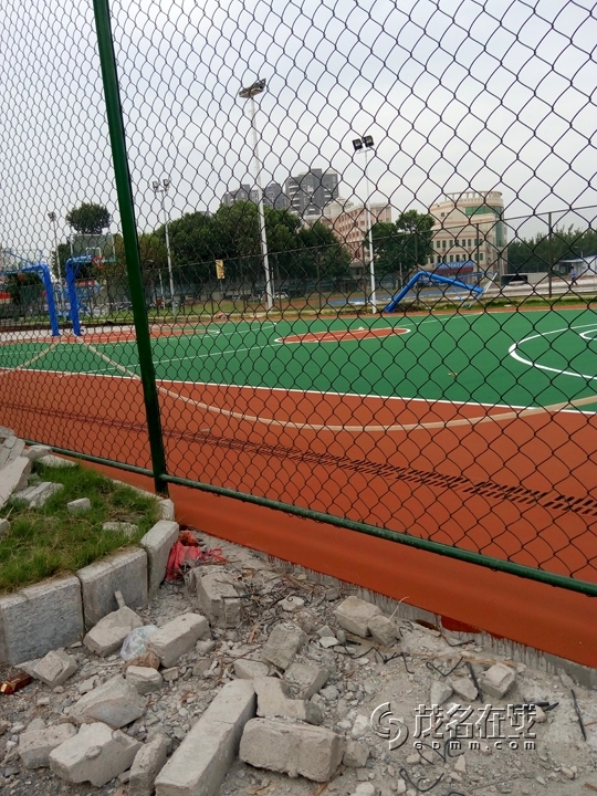 P51026-081855.jpg
