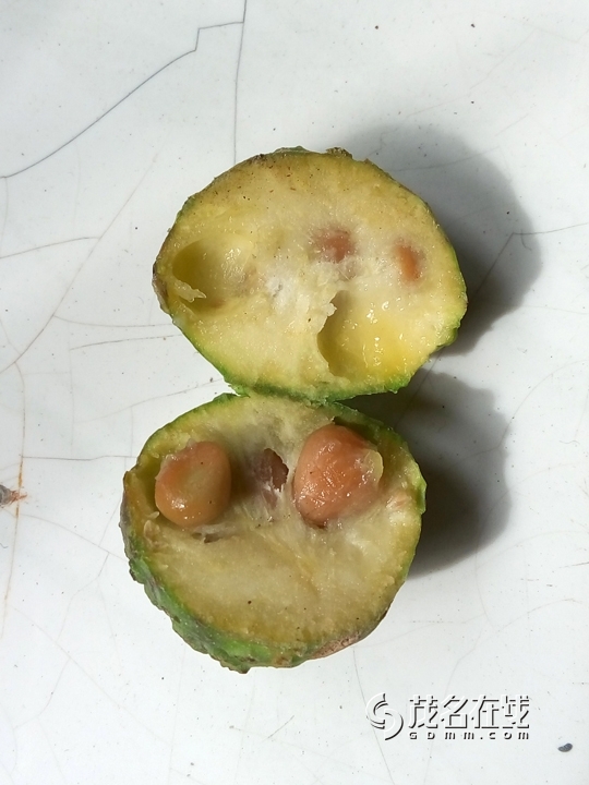 P51026-110027.jpg