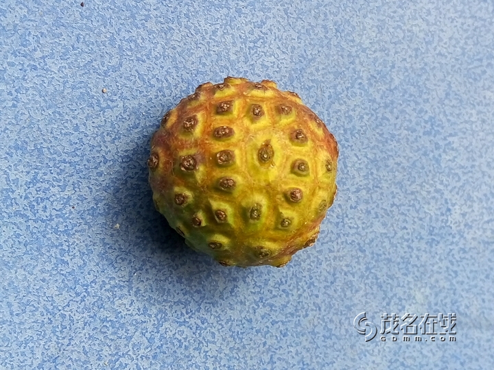 P51027-114130.jpg