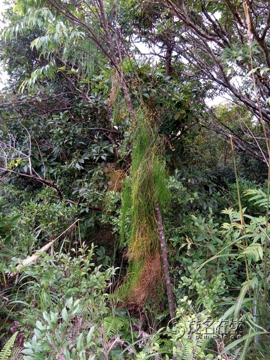 ֻƬ2015.10P51025-160548.jpg