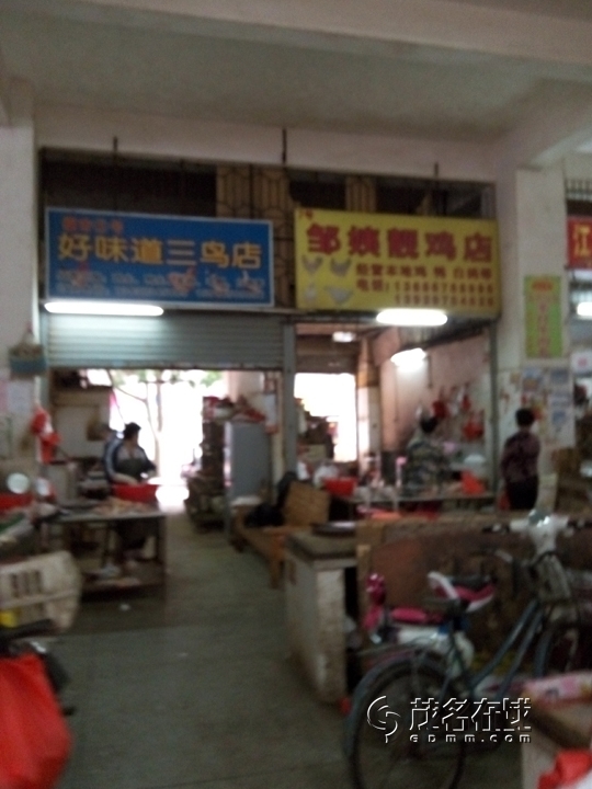 P51101-090011.jpg