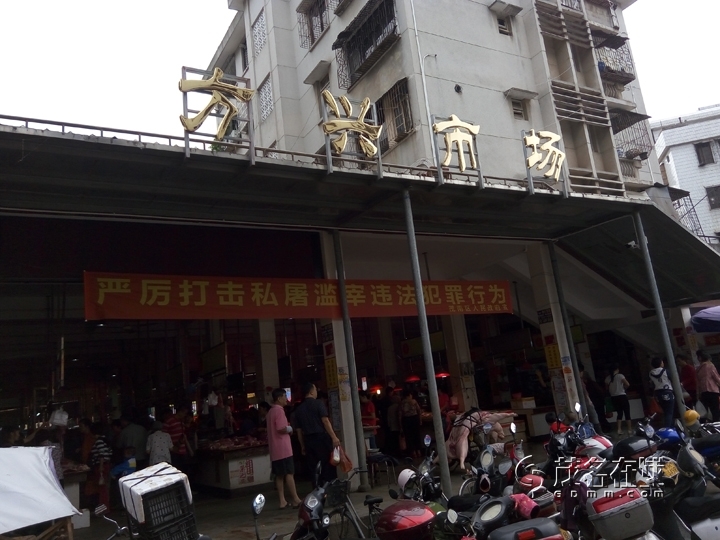 P51101-083829.jpg