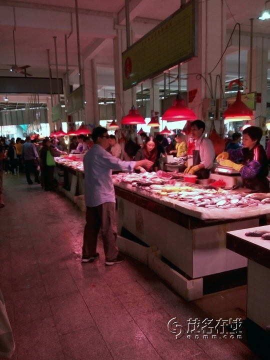 P51101-084100.jpg