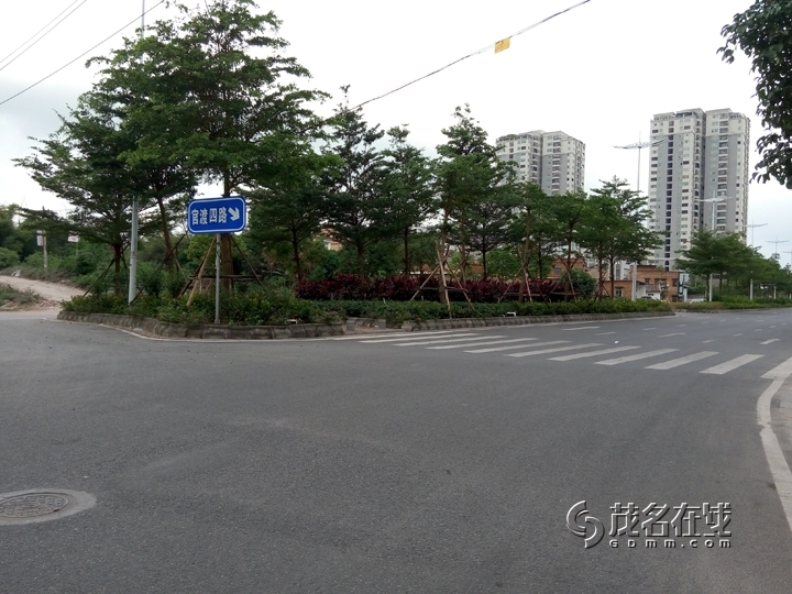 P51107-151148.jpg