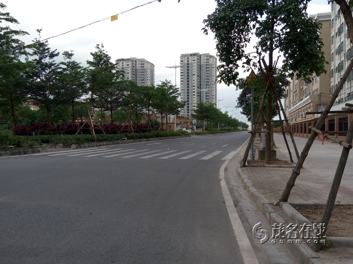 P51107-151150.jpg