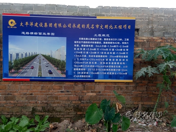 P51107-151501.jpg