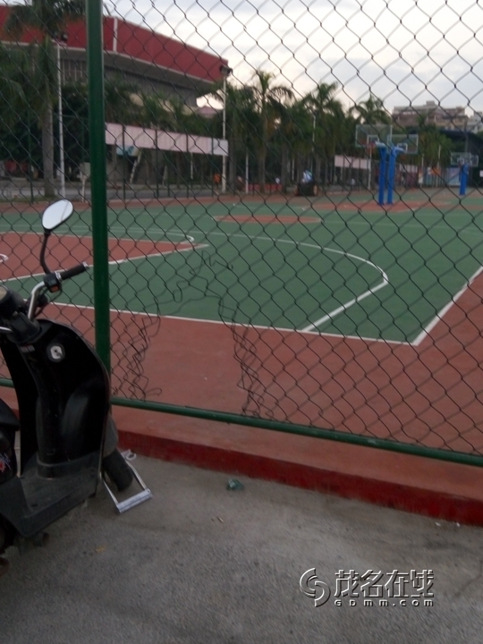 P51109-064209.jpg