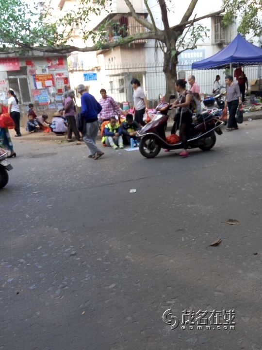 P51122-091212.jpg