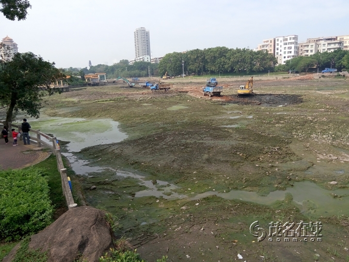 P51220-115414.jpg