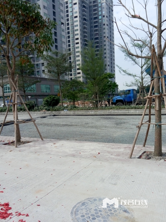 P60228-151949.jpg