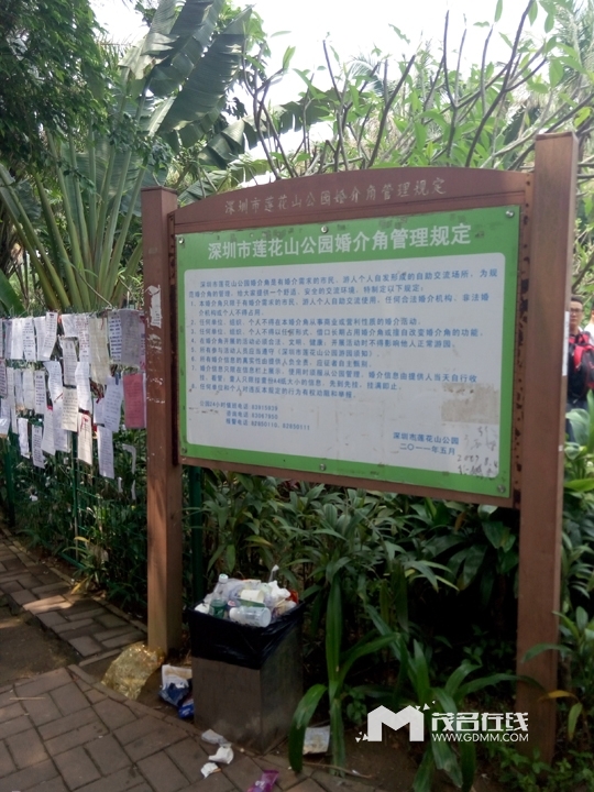 P60501-13494337.jpg