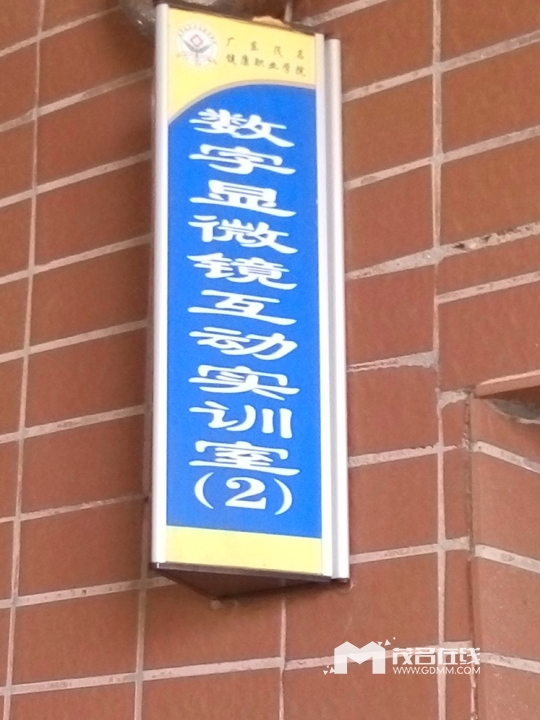 P60615-165235.jpg