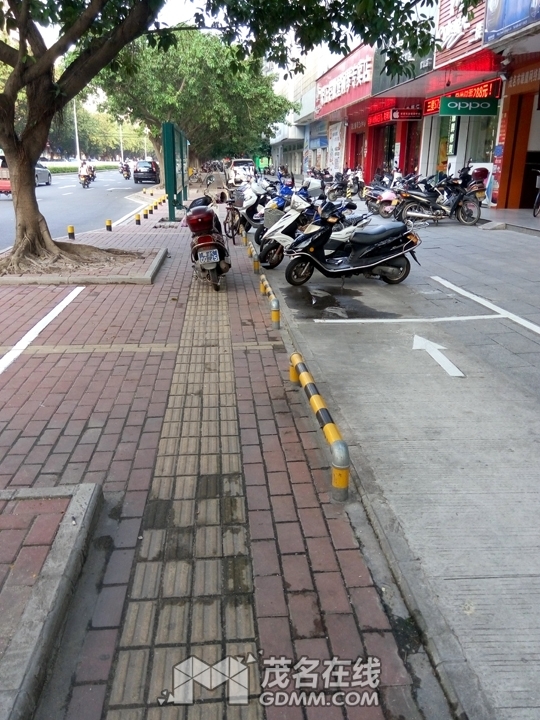 P61022-164233.jpg
