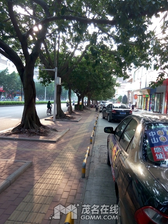 P61022-164628.jpg