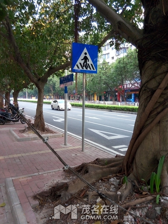 P61022-164654.jpg