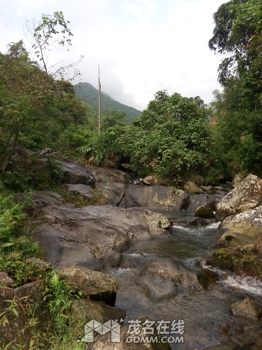 P61121-142023.jpg