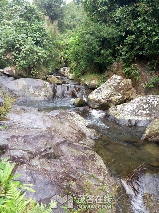 P61121-142127.jpg