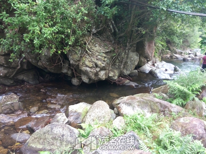 P61121-142131.jpg