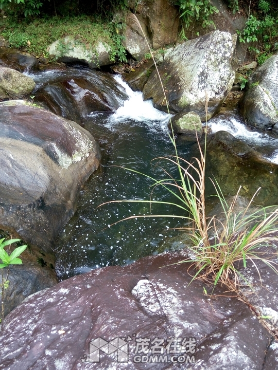 P61121-142239.jpg
