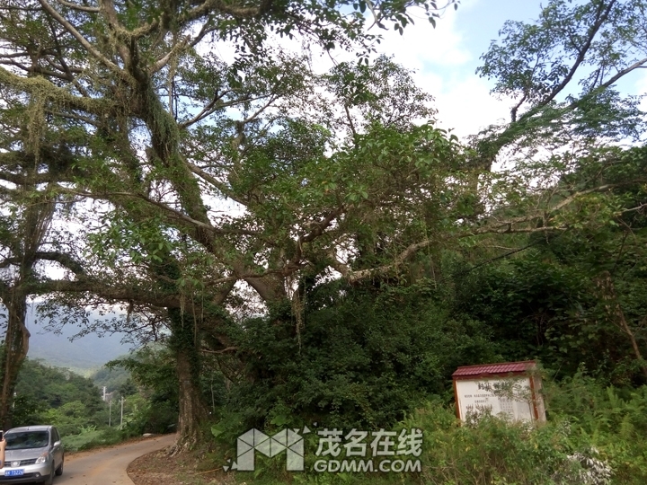 P61121-144413.jpg
