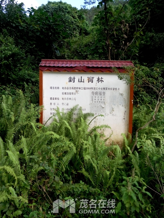 P61121-144425.jpg