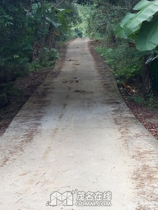 P61121-143521.jpg