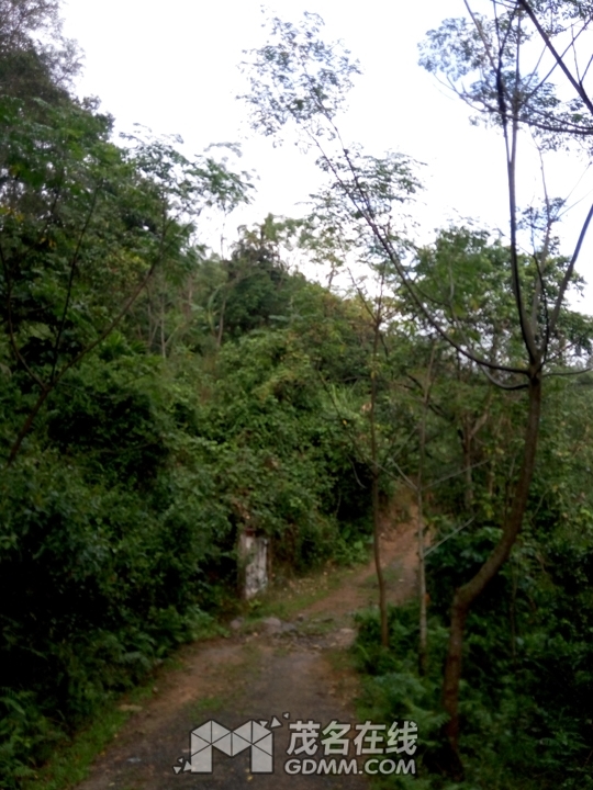 P61121-141358.jpg