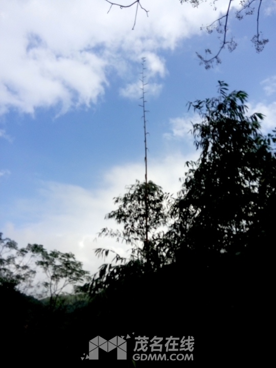 P61121-141617.jpg