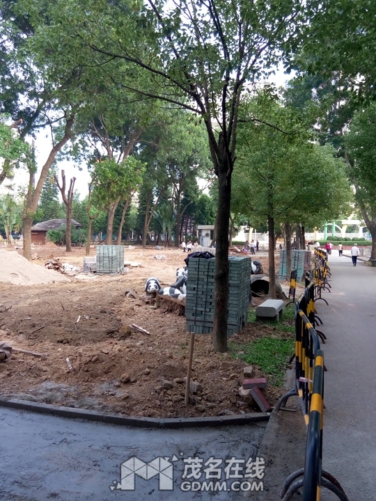 P61201-160537.jpg