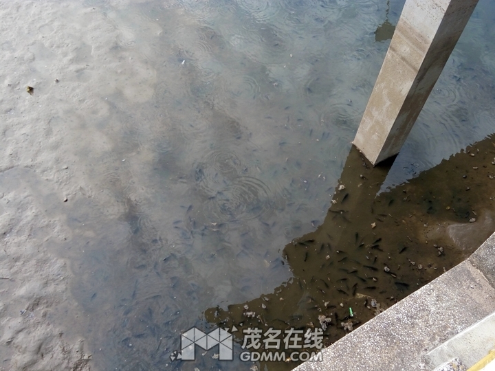 P61201-160900.jpg