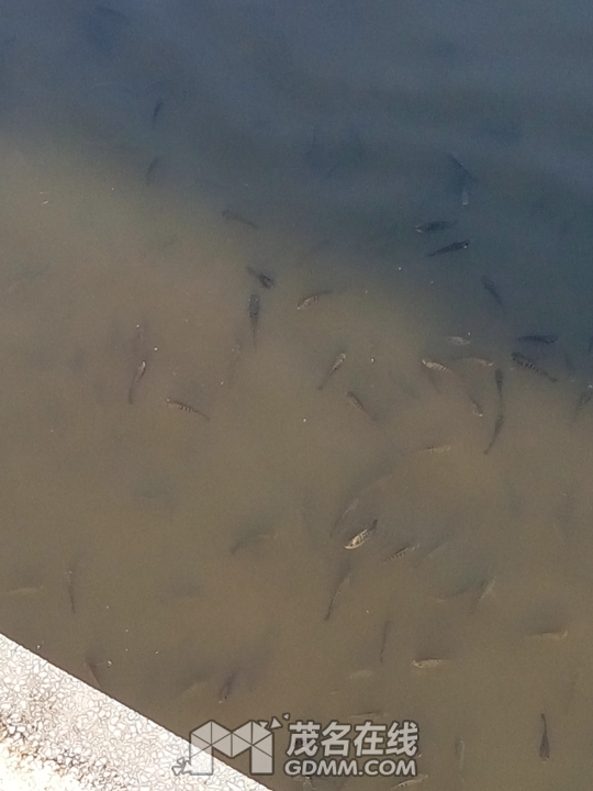 P61204-161847.jpg