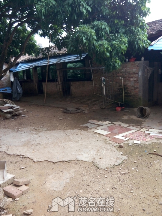 P61203-105741.jpg