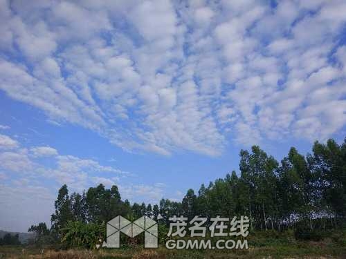 IMG_20161220_084349.jpg