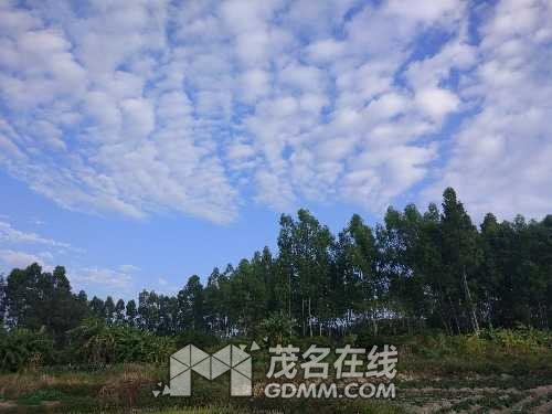 IMG_20161220_084326.jpg