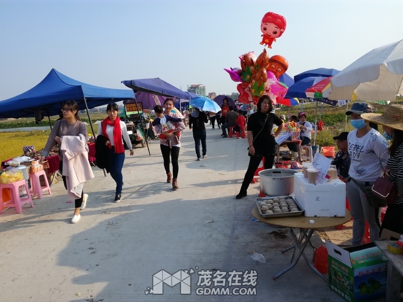 IMG_20170101_154010.jpg