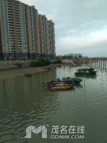 IMG_20170102_173423.jpg
