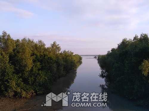 IMG_20170102_170839.jpg