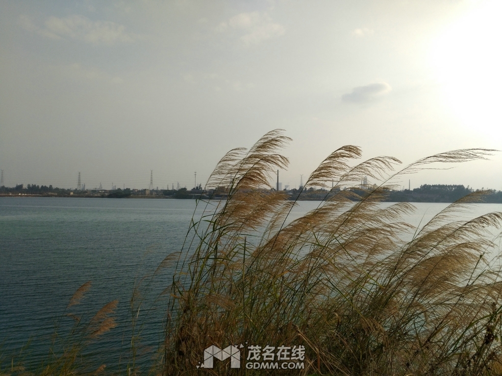 IMG_20170102_164413.jpg