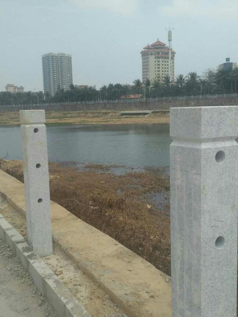 1484036356402_.jpg