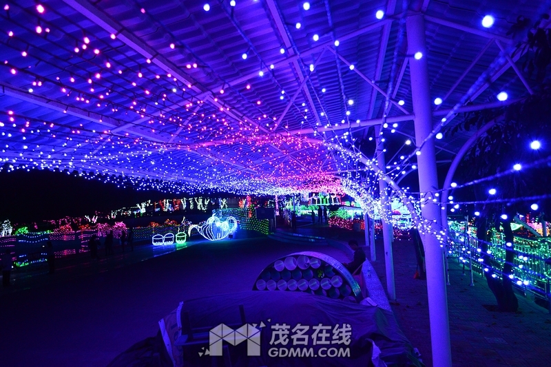 nEO_IMG_DSC_5720.jpg