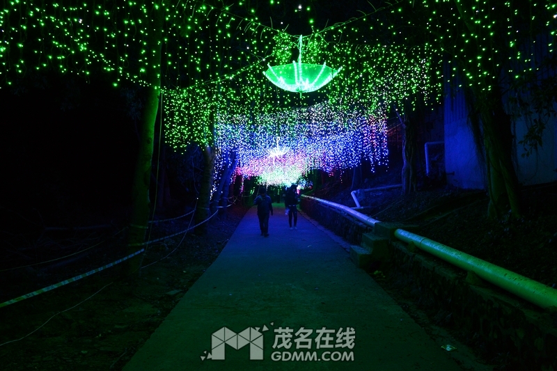 nEO_IMG_DSC_5775.jpg
