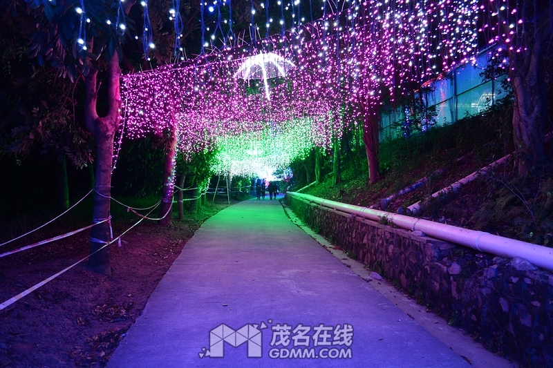 nEO_IMG_DSC_5773.jpg
