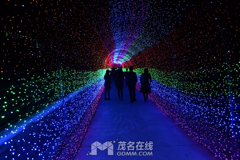 nEO_IMG_DSC_5784.jpg