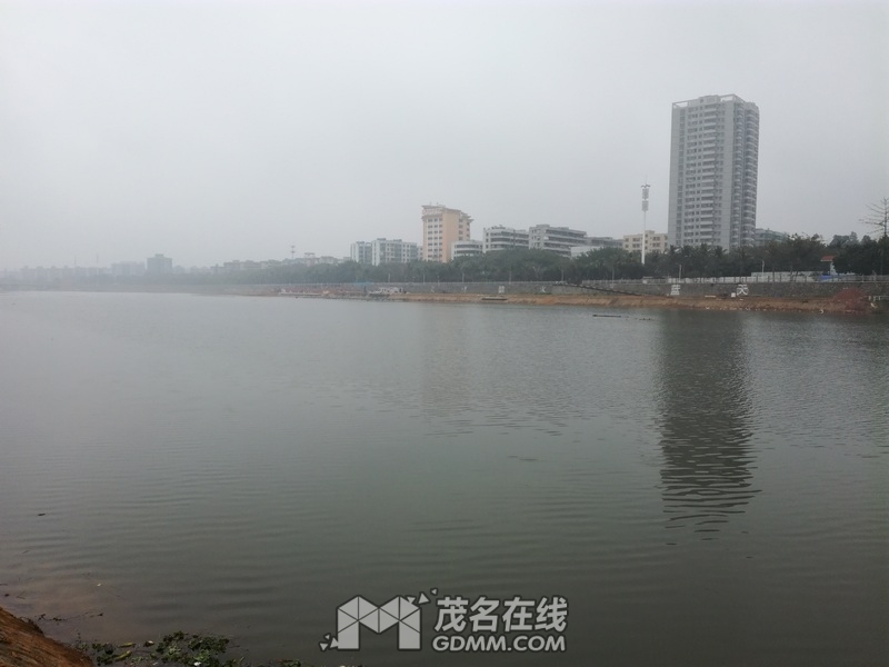 IMG_20170114_112730.jpg