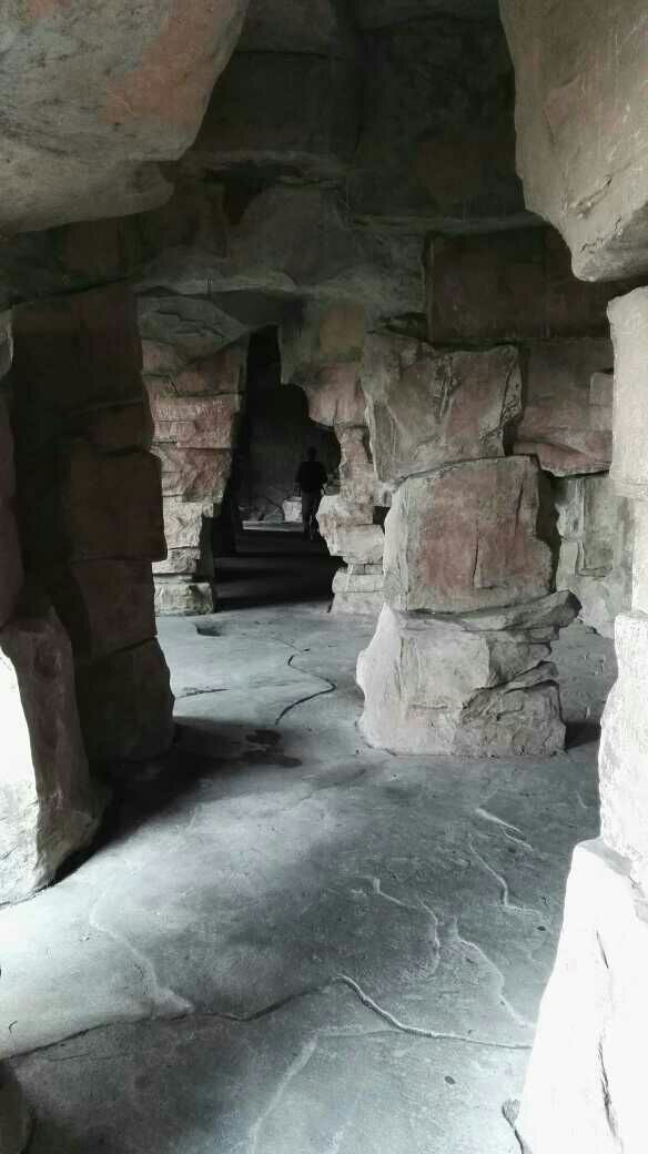 1484620725477_.jpg