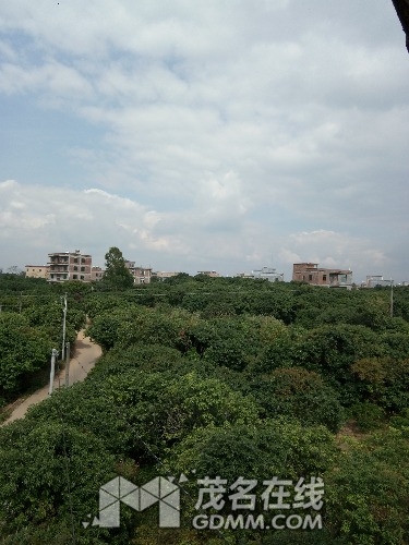 1485670354977.jpg